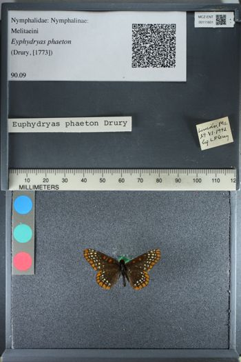 Media type: image;   Entomology 111601